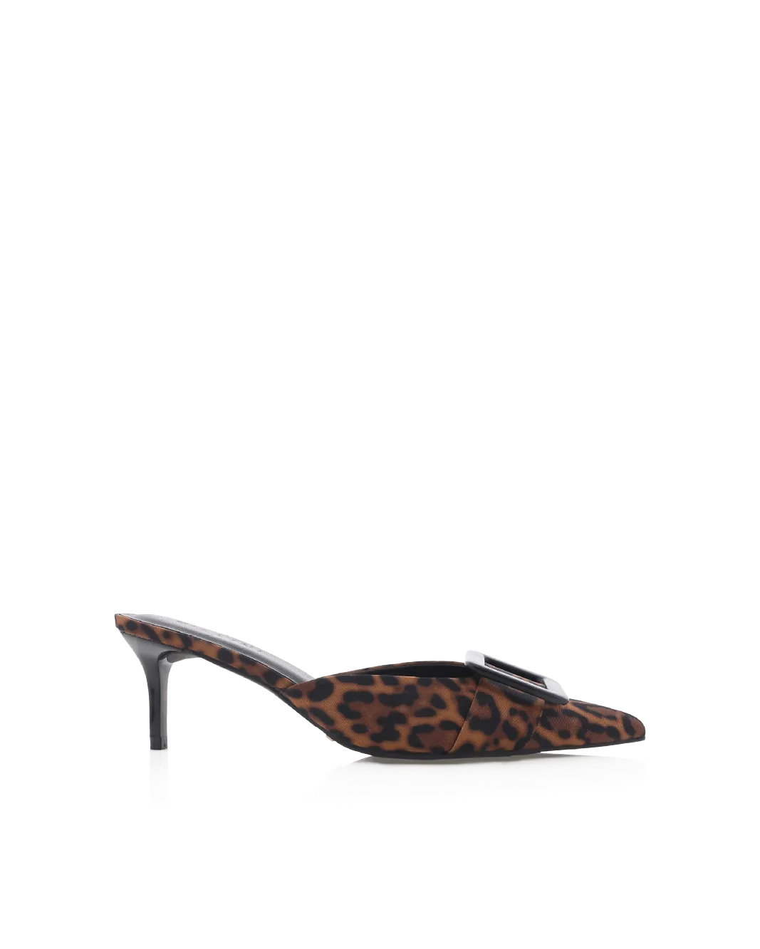 YORKIE - LEOPARD